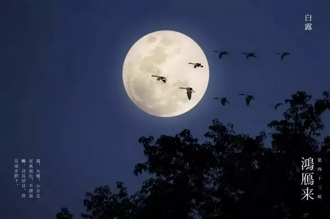 白露 露从今夜白,月是故乡明